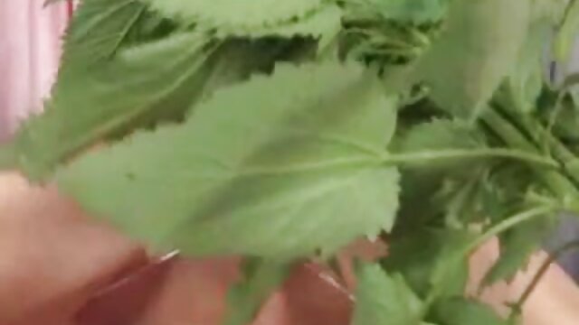 Najljubši :  Ruski žurerji imajo skupinski seks in obstajajo fantje, ki to snemajo Video posnetki 