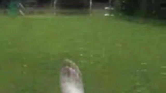 Najljubši :  Chick po samozadovoljevanju prejme prijeten tiča v usta Video posnetki 