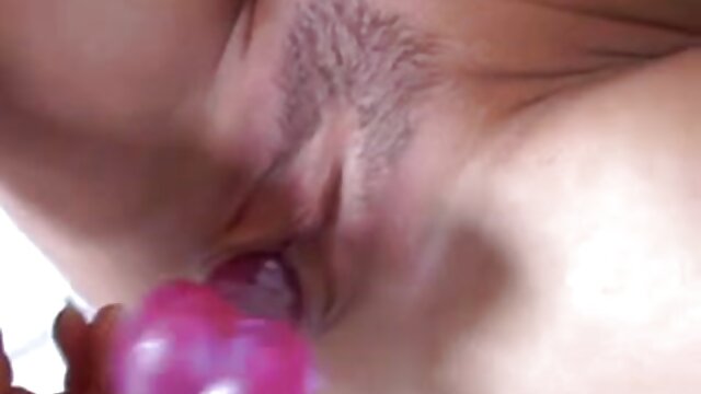 Najljubši :  Rjavolaska Latina z okroglo zadnjico jaha čudovitega tiča Video posnetki 