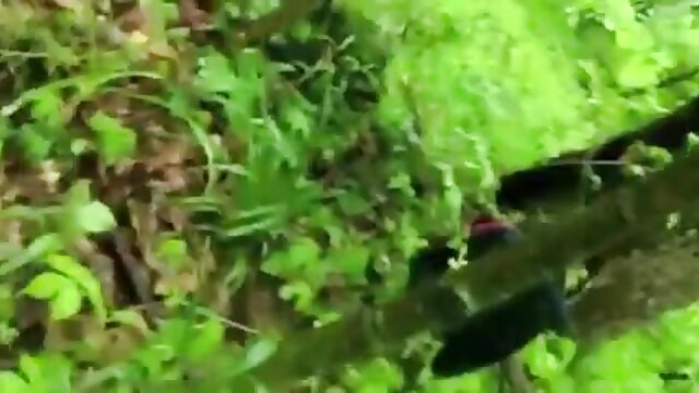 Najljubši :  Kanadsko plavolaso ​​zvezdnico August Ames navadi njen poželjiv moški Video posnetki 