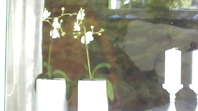 Najljubši :  Mladi in lepi ljudje so ljubitelji nudizma in se zabavajo v naravi Video posnetki 