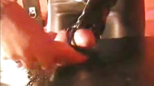 Najljubši :  Tip liže dlakavo muco stare srčkane, potem pa vzame tiča v usta Video posnetki 