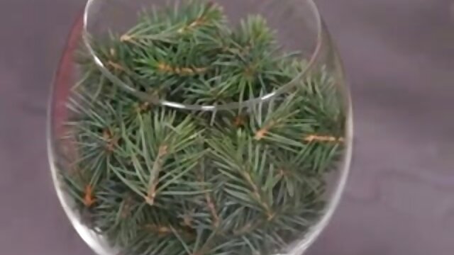 Najljubši :  Fant neguje zadnjico svoje bejbe z lepo masažo Video posnetki 