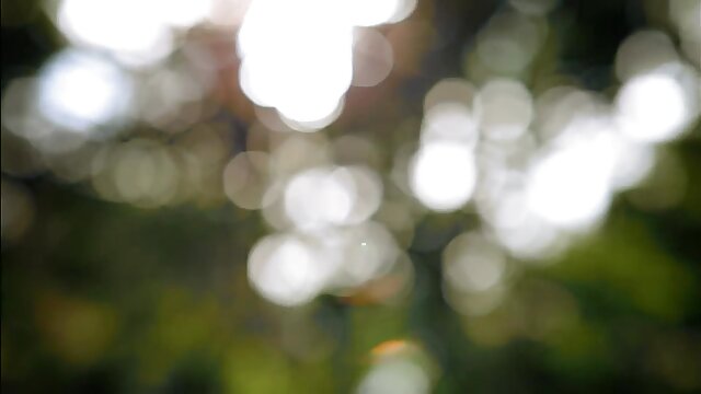 Najljubši :  Čeden fant dobi trojček s seksi azijskimi lepoticami. Video posnetki 